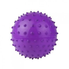 Мяч антистресс MB0105 с шипами, резиновый 16см (Фиолетовый) 21306801 фото