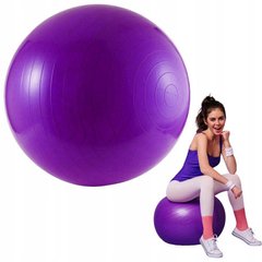 Мяч для йоги Be Ready 65 см (фиолетовый) 20200339 фото