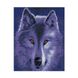 Алмазная мозаика. Strateg FA20174 "Волчица в лунном свете" 40х50 см 21304612 фото