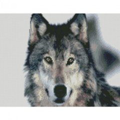 Алмазная мозаика "Хороший волк" Strateg HX349 30х40 см 21304629 фото