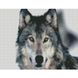 Алмазная мозаика "Хороший волк" Strateg HX349 30х40 см 21304629 фото