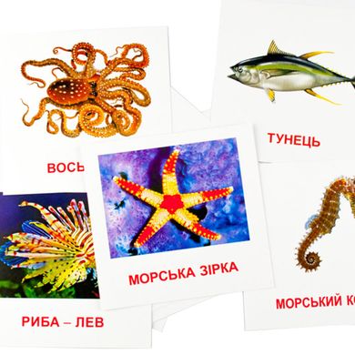 Развивающие карточки "Морские жители" (110х110 мм) 72752 на укр./англ. языке 21301460 фото