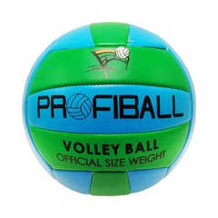 М'яч волейбольний Bambi EV-3159 20,7 см (Синьо-зелений) 21300129 фото