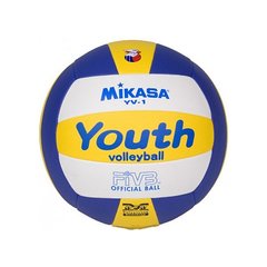 Мяч волейбольный Mikasa YV-1 1520012 фото