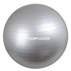 М'яч для фітнесу Profi M 0276-1 65 см (Сірий) 21304959 фото