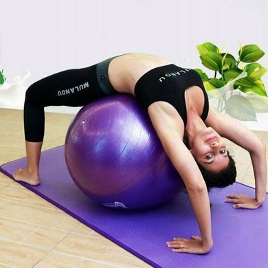 М'яч для йоги Be Ready 65 см (фіолетовий) 20200339 фото