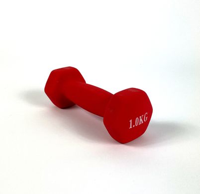 Гантели для фитнеса Neo-Sport 1 кг. x 2 шт., металл с виниловым покрытием (красный) 22600085 фото