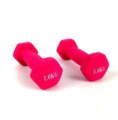 Гантели для фитнеса Neo-Sport 1 кг. x 2 шт., металл с виниловым покрытием (розовый) 22600086 фото