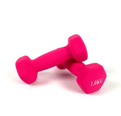 Гантели для фитнеса Neo-Sport 1 кг. x 2 шт., металл с виниловым покрытием (розовый) 22600086 фото