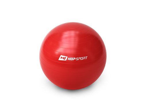 Фитнес мяч Gym Ball 65см + насос 1230088 фото