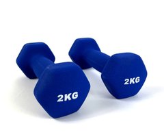 Гантелі для фітнесу Neo-Sport 2 кг. x 2 шт., метал з вініловим покриттям (синій) 22600087 фото
