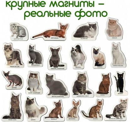 Набір магнітів Magdum "Породи кішок" ML4031-13 EN 21304162 фото