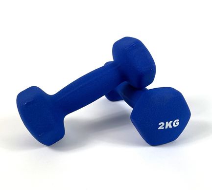 Гантели для фитнеса Neo-Sport 2 кг. x 2 шт., металл с виниловым покрытием (синий) 22600087 фото