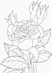 Роспись на холсте. Art Craft "Роза" 25х30 см 15505-AC 21307259 фото