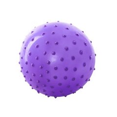 Мяч масажний MS 0023 8 дюймів (Фіолетовий) 21300493 фото