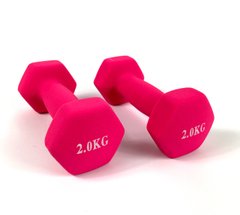 Гантели для фитнеса Neo-Sport 2 кг. x 2 шт., металл с виниловым покрытием (розовые) 22600089 фото