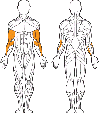 Бицепс-машина 1700180 фото