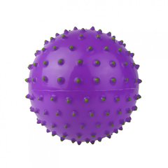 Мяч массажный MS 0025 5 дюймов (Фиолетовый) 21300495 фото