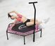 Фитнес-батут King Sport Pink 130 см с ручкой, усиленная стальная рама, 42 амортизатора (Jumping Fitness) 22900082 фото 7