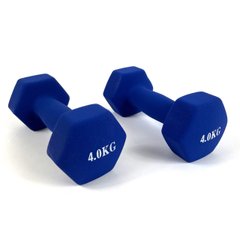 Гантели для фитнеса Neo-Sport 4 кг. x 2 шт., металл с виниловым покрытием (синие) 22600091 фото