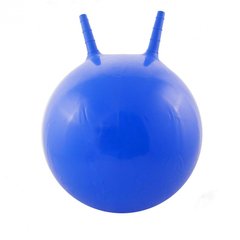 М'яч для фітнесу. Фітбол MS 0380, 45см (Блакитний) 21304917 фото