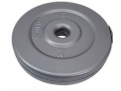 Диск композитний D25 мм (сталь+вініл, вага 2,5 кг) 530591 фото