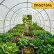 Усиленная садовая теплица LEOBRO Garden 18 м&sup2; White (LB-18M25W) 22500174 фото 10