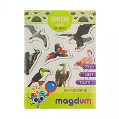 Детский набор магнитов Птицы фото Magdum ML4031-30 EN 21304171 фото