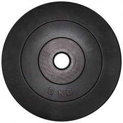 Диск гантельный композитный в пластиковой оболочке newt rock pro 5 кг 580685 фото