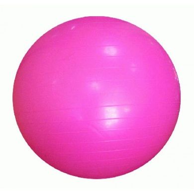 Мяч для фитнеса (фитбол) 65 см HMS, розовый 580515 фото