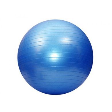 Мяч для фитнеса (фитбол) 65 см HMS, голубой 580516 фото