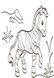 Дитяча водна розмальовка: Екзотичні тварини 734012, 8 сторінок 21307119 фото 6
