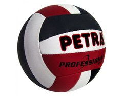 Мяч волейбольный Petra Professional 1450359 фото