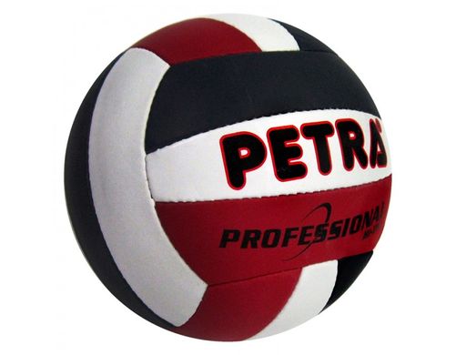Мяч волейбольный Petra Professional 1450359 фото