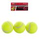 Мячики для большого тенниса MS 0234, 3 шт в наборе 21307600 фото