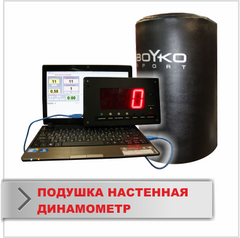 Боксерская подушка Динамометр с радио дистанционным таблом 1640163 фото