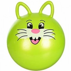 Мяч для фитнеса MS 0936 (Зелёный кот) 21304938 фото