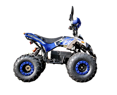 Электрический квадроцикл для взрослых с цепным приводом SN-EA66 ATV 48V 1000W 20501079 фото
