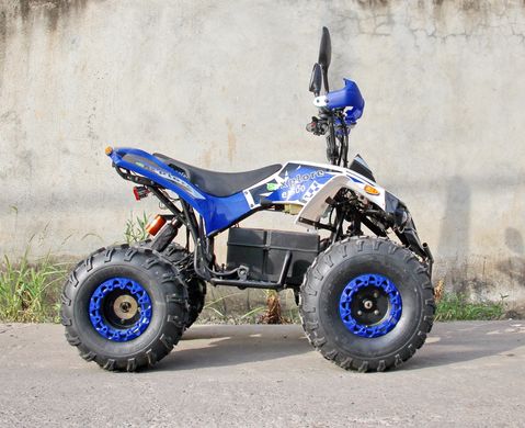 Електричний квадроцикл для дорослих із ланцюговим приводом SN-EA66 ATV 48V 1000W 20501079 фото