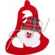 Подвеска фетровая "Дед Мороз" с канатиком 12-125 21305718 фото
