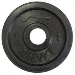 Диск сталевий гумовий newt home 1 кг, діаметр - 30 мм 580654 фото