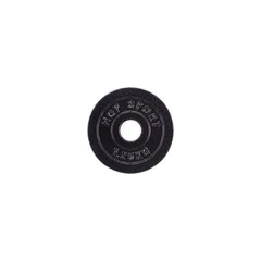 Диск чугунный черный 1,25 кг 1230016 фото