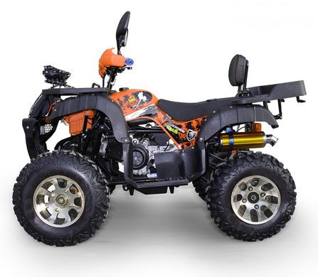 ATV205B Взрослый бензиновый квадроцикл 250 куб.см с цепным приводом 20501082 фото