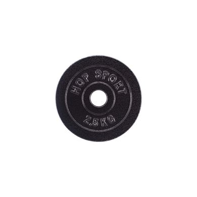 Диск чугунный черный 2,5 кг 1230017 фото