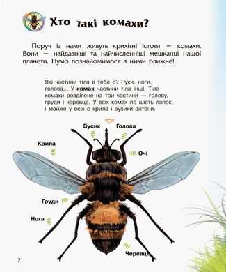 Детская энциклопедия про насекомых 614014 для дошкольников 21303104 фото