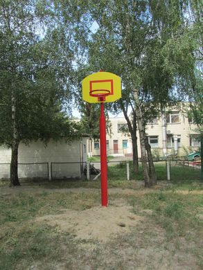 Баскетбольный щит с кольцом на стойке 1460144 фото